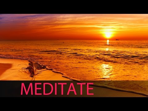 8 Hour Shamanic Meditation: Tibetan Music, Binaural Brainwaves, Healing Music, Chakra Cleanse ☯334