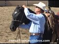 Horse Training Tips - Using A HeadSetter, part 1