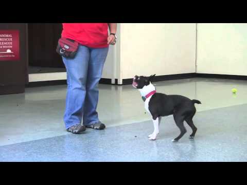 how to cure jumpiness
