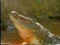 2 Crocs T...