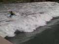 Trainings Session in Plattling - Phoenix Monkey