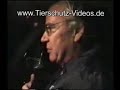 Tierschutz Massentierhaltung Undercover Tierfilmer 2 v. 3