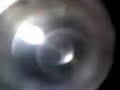 Frog egg-Late Blastula