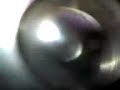 Frog egg-Late Blastula