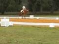 Liberty Hill Show 10-26-08