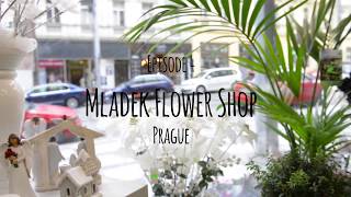 Andhim - Live @ Flower Shop in Prague, Playces, Episode 4 2017