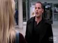 Grey's Anatomy - The Scientist