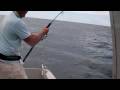 thon ray� sur amj 54et capricorn
