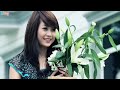 LK Bình Yên Nhé & Cầu Vồng Sau Mưa - Cao Thái Sơn