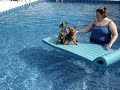 buster and bailey on raft in pool