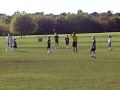 tiger cats 98 p2