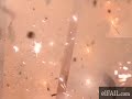 Experimento explosivo de Microondas y licor