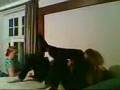 videos de schulze niehues herbst 2008