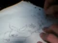 Draw amazing skull (Part one)