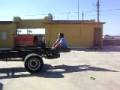 videos de El Rey Tiburon - Remen Remen