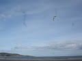 flying a kite , thunderr846 in Dollymount beach dublin