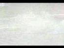 Willytown Wankster Intro