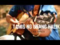 Tamis ng Unang Halik