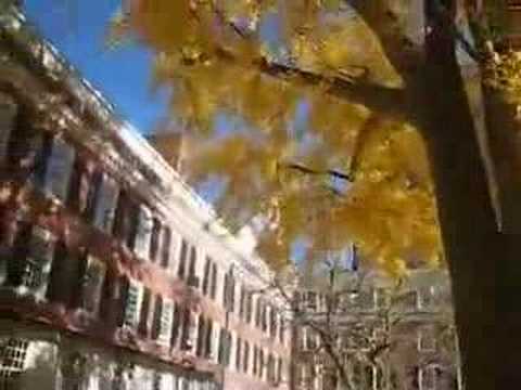 Frisbee in Timothy Dwight College