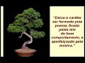 CONFÚCIO CONFÚCIO