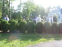 Tanglewood Forest