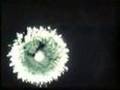 supernova