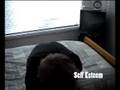 videos de Anti Alcohol Film