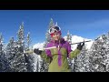 Leki SpeedLock Overview