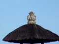 Bali Report ; il tempio del lago : Ulum Danu Bali Report ; il tempio del lago : Ulum Danu