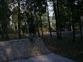 drop in on my new mini ramp