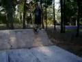 drop in on my new mini ramp