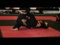 Kenpo 5.0 Cameron MO in San Antonio
