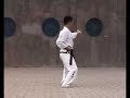 International Taekwondo Federation (ITF) Pattern Choong Jang