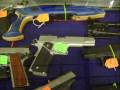 2009 gun show