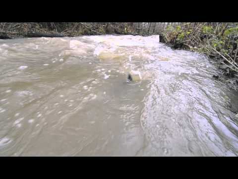 See video