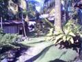 videos de _Suzuki's Garden_