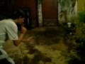 videos de Vídeo-aula, como educar o seu cachorro??