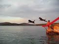 Flat Coated Retrievers Mo & Kiara 2007