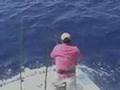 BIG GAME FISH