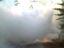 silly burnout foxbody silly burnout foxbody