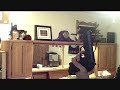 Beretta PX4 Co2 Demo Beretta PX4 Co2 Demo