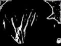 Sure Nuf iMovied Sure Nuf iMovied