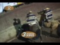 rodeo vizcachas cuarto animal