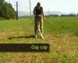 Beagle video