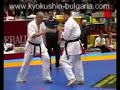 Shinkyokushin champ
