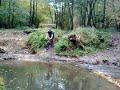 Mountain biking in the Wyre Forest Mountain biking in the Wyre Forest