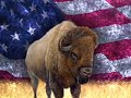 Los Estados Unidos en la Profecia Bíblica Los Estados Unidos en la Profecia Bíblica