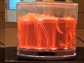 Antworks ant habitat - Timelapse of ants creating tunnels