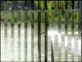 videos de scafo rc