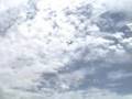 Canterbury Sailplanes Eaglet Launch